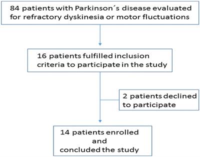 Intestinal Decontamination Therapy for Dyskinesia and Motor Fluctuations in Parkinson's Disease